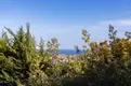living - 2,013m² plot for sale in Cabrils, Barcelona - gallery thumbnail - 6
