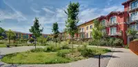 living - Zumbini 39 - unità 163 - Living - Dils - gallery thumbnail - 14