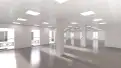 office - Goya 6 - Oficinas - Dils - gallery thumbnail - 3