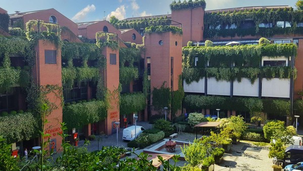 advisor for the new MIP Politecnico di Milano Hub - Dils - Spain - featured