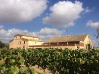 living - 1,314 m² country house for sale in Penedès, Sitges - gallery thumbnail - 3