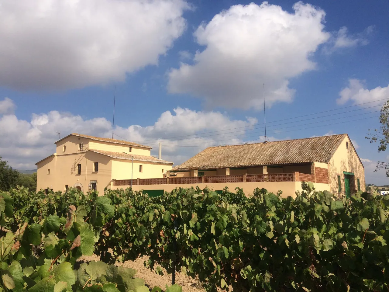 living - Masía de 1.314 m² en venta en Penedès, Sitges - gallery - 3