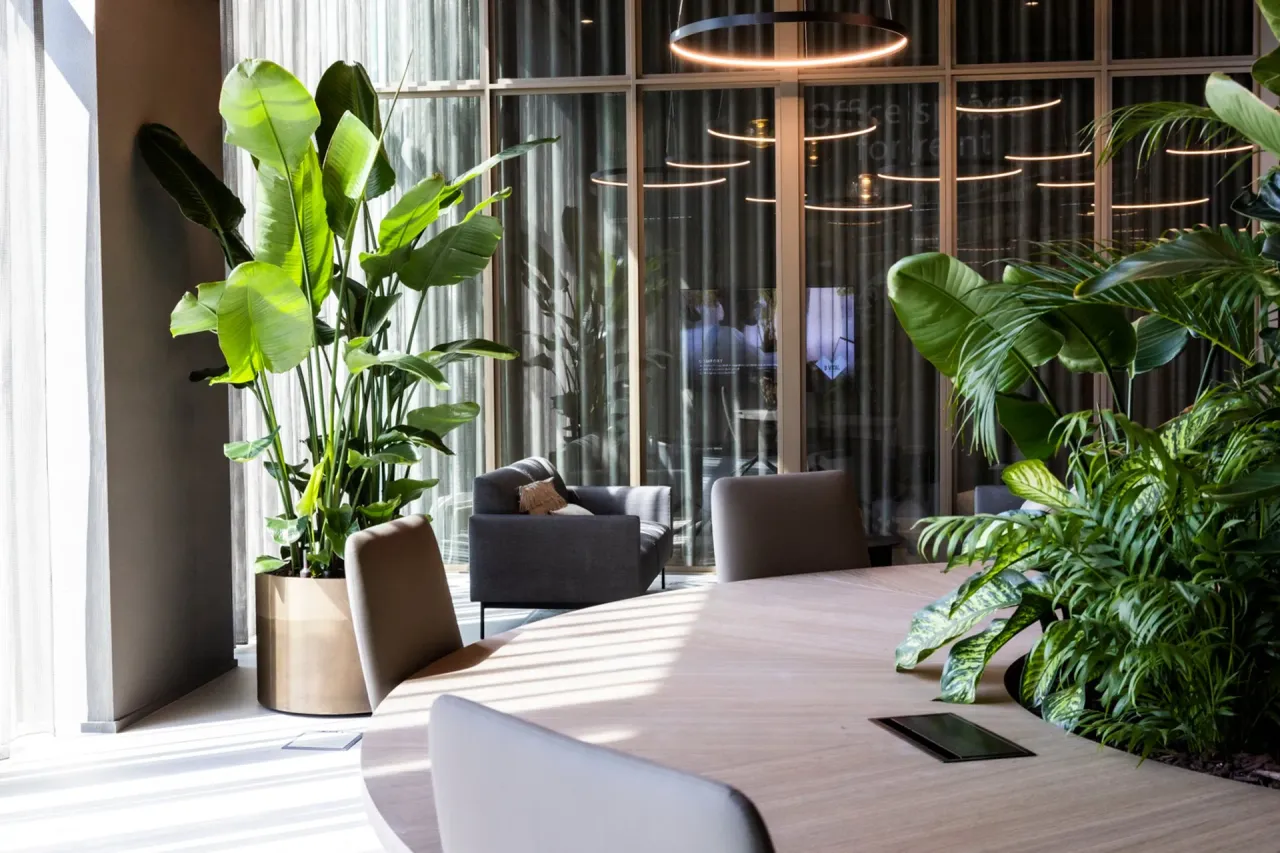office - B Vital - Office - Dils - gallery - 17