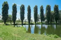 living - Romilli 24 - Living - Dils - gallery thumbnail - 14