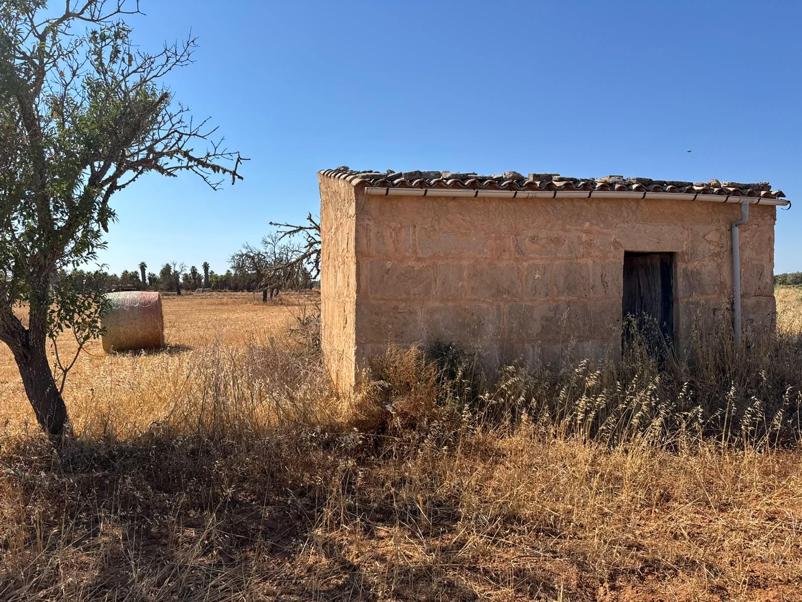 living - 19,544m² plot with 19,544m² garden for sale in Campos - gallery - 2