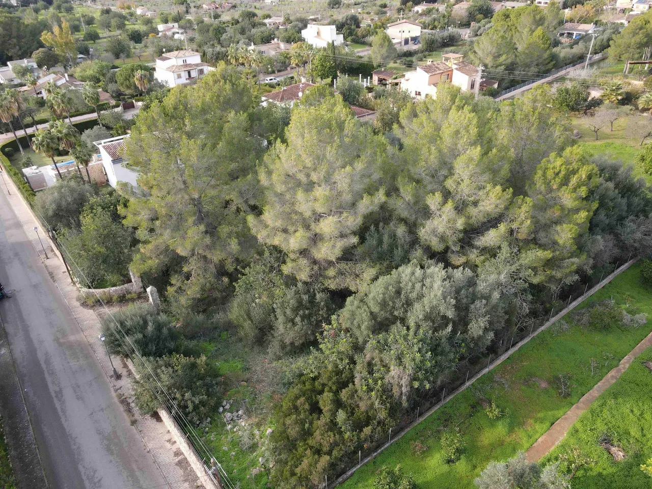 living - 2,134m² plot for sale in Bunyola, Balearic Islands - gallery - 3
