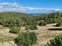 living - 285m² house / villa with 83m² garden for sale in Genova, Palma - gallery thumbnail - 4