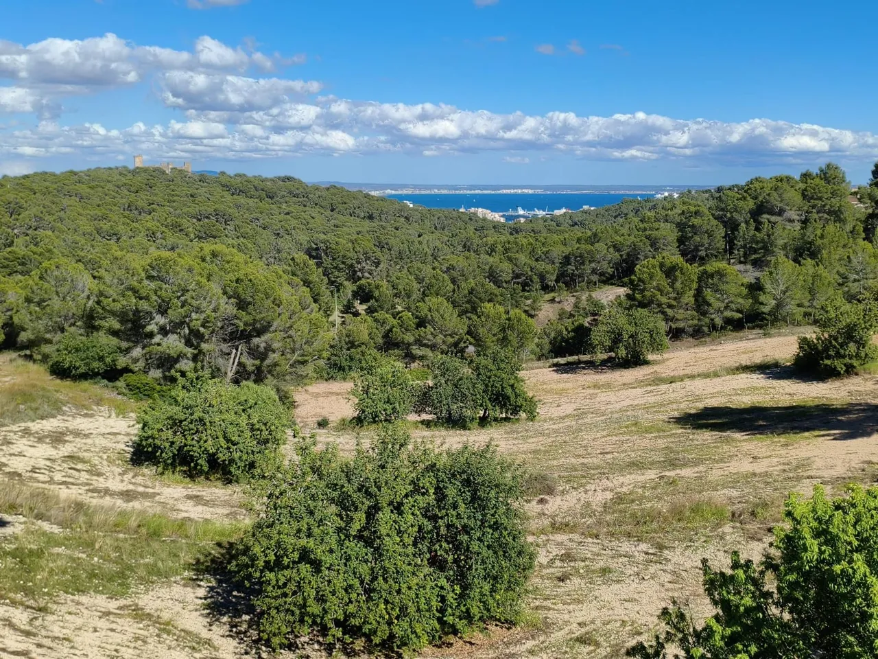 living - Casa / villa de 285m² con 83m² de jardín en venta en Genova, Palma - gallery - 4