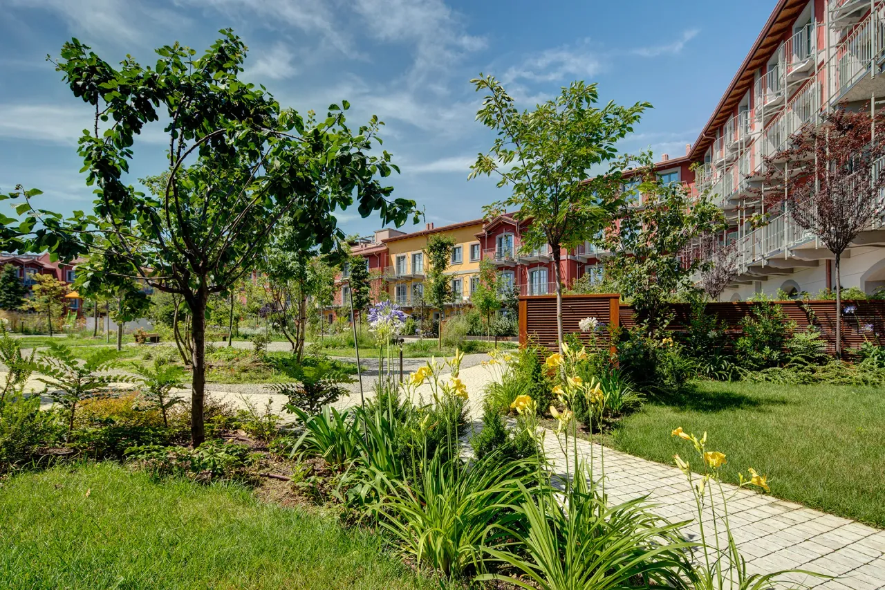 living - Zumbini 39 - Living - Dils - gallery - 14