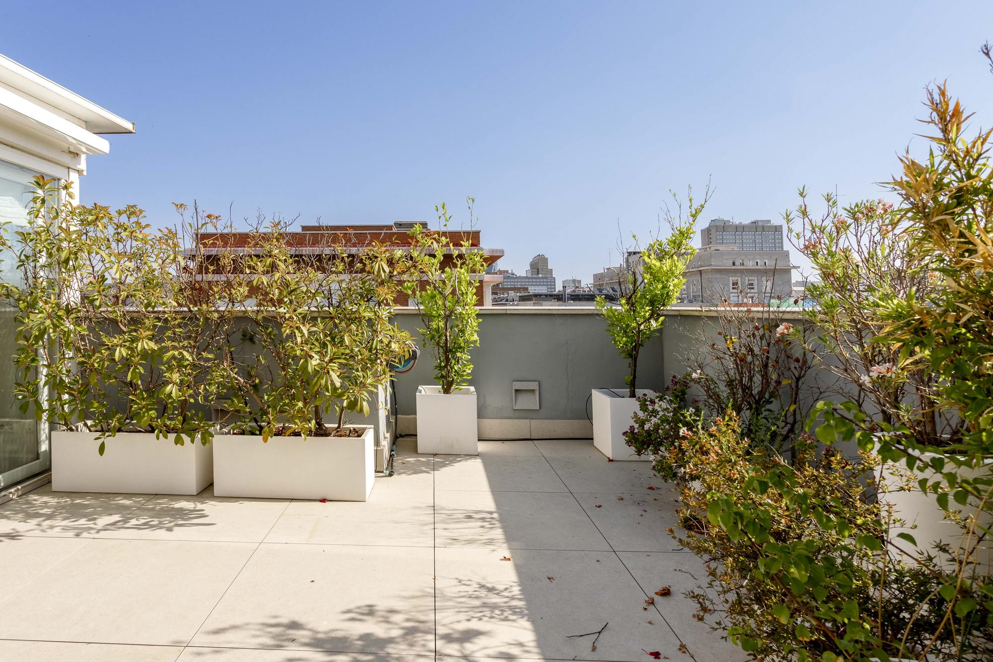 living - Ático de 250m² con 24m² terraza en alquiler en Cuatro Caminos - gallery thumbnail - 2
