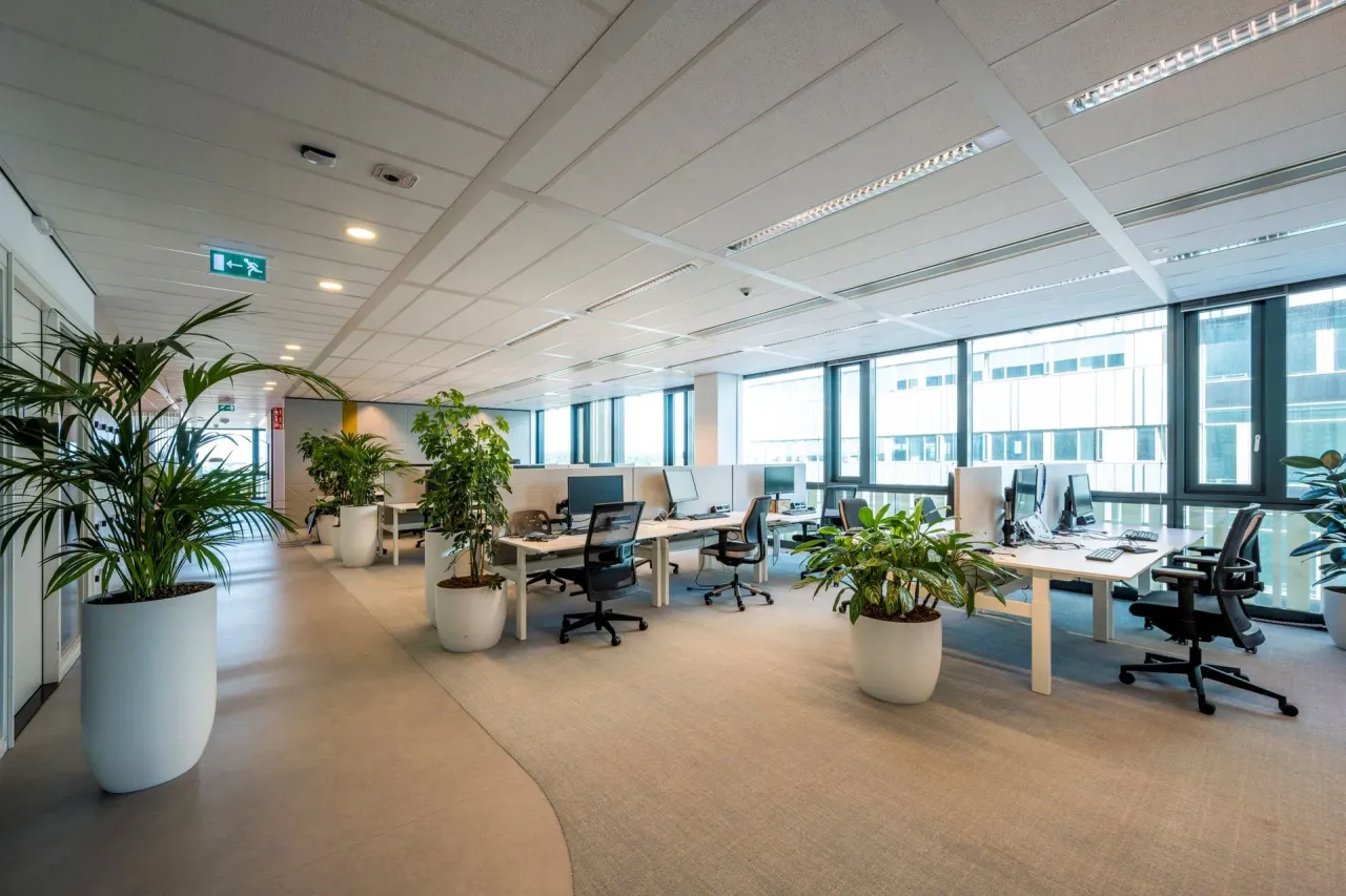 office - Diana & Vesta - Office - Dils - gallery - 22