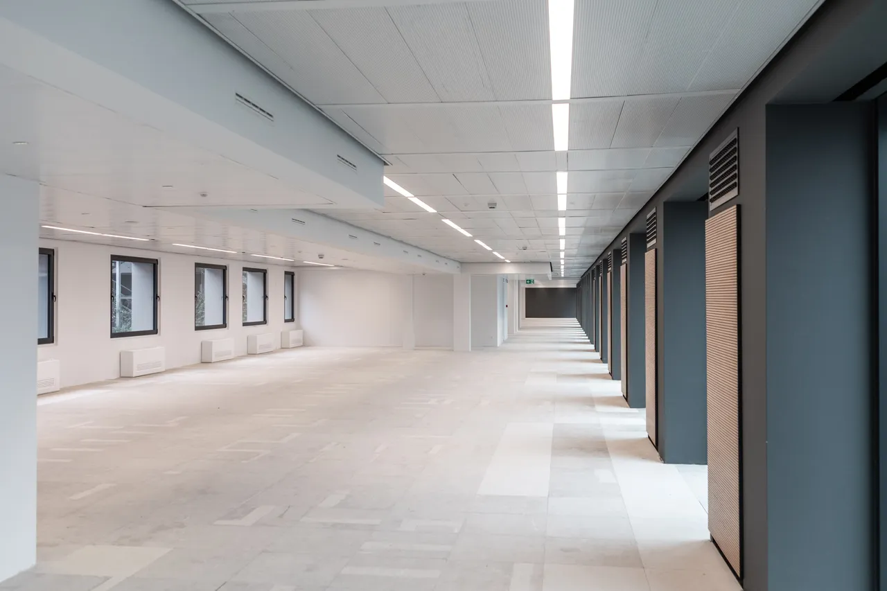office - VIBE - Office - Dils - gallery - 29