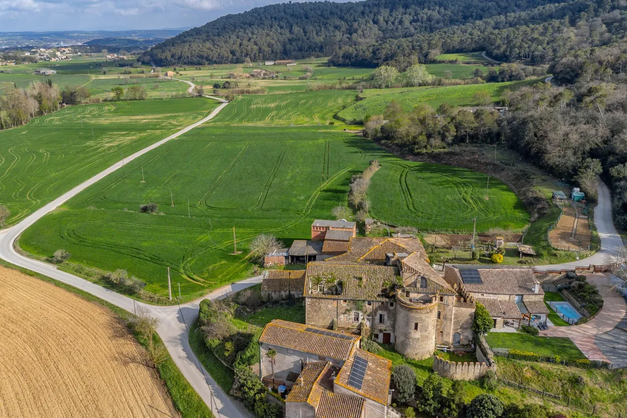 living - Castillo / palacio de 680m² en venta en Pla de l'Estany - gallery - 8