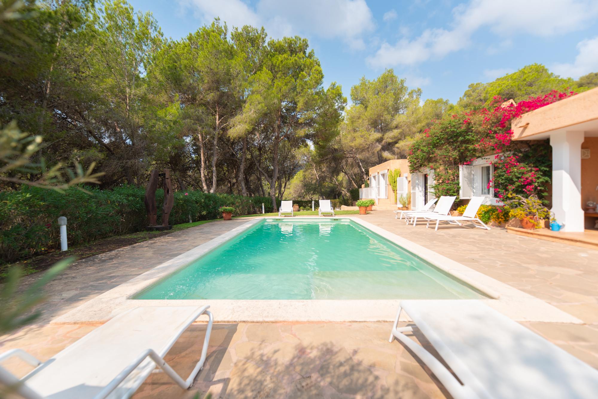 living - 198m² house / villa for sale in San José, Balearic Islands - featured