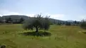 living - 23,114m² plot for sale in San Antonio, Balearic Islands - gallery thumbnail - 9