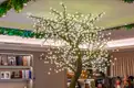 office - Ponchielli 7 - Office - Dils - gallery thumbnail - 20