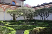 living - Magenta 54 - Living - Dils - gallery thumbnail - 9