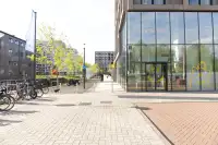 office - The Bridge - Office - Dils - gallery thumbnail - 32