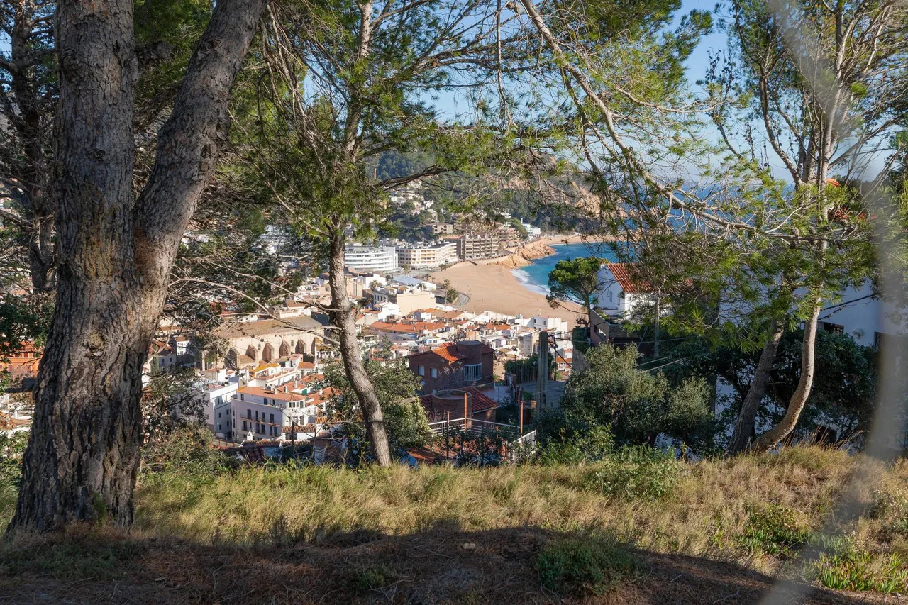 living - 1,130m² plot for sale in Tossa de Mar, Costa Brava - gallery - 3