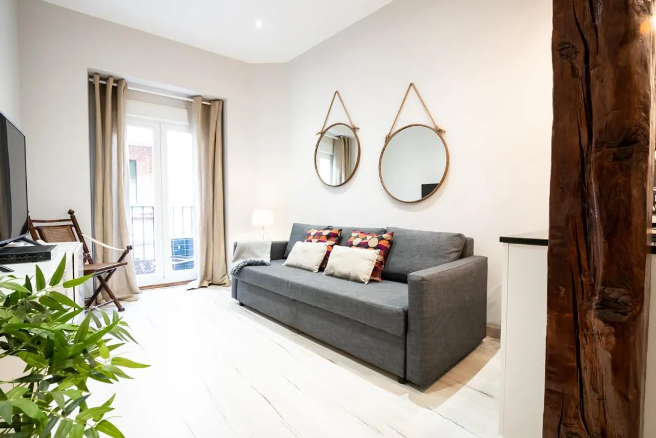 living - 45m² apartment for rent in Cortes / Huertas, Madrid - gallery - 2