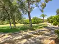 living - Casa / villa de 541m² en venta en Marratxí, Islas Baleares - gallery thumbnail - 1