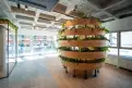 office - Oglio 12 - Office - Dils - gallery thumbnail - 7