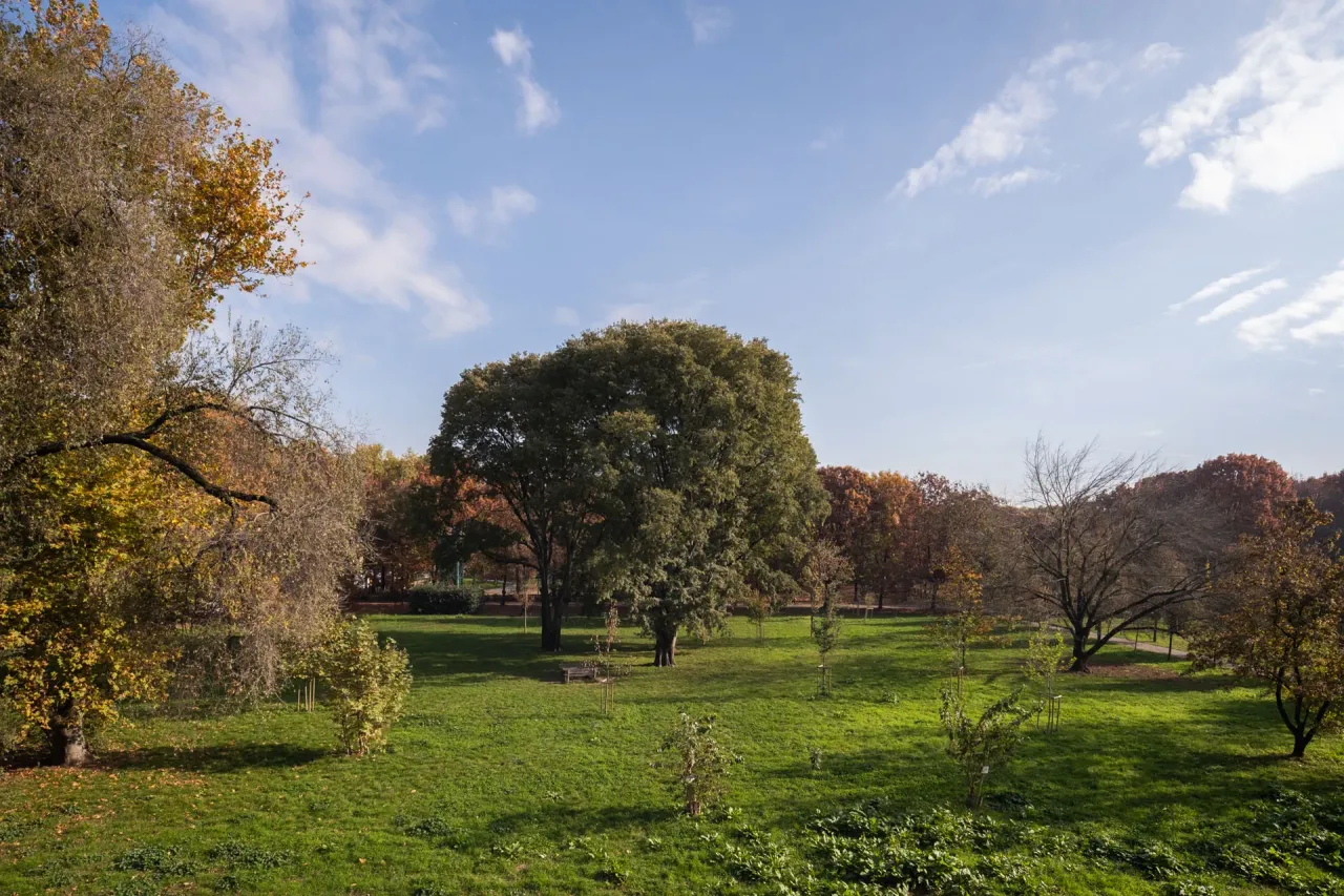 living - Balilla 16/18 - Living - Dils - gallery - 10