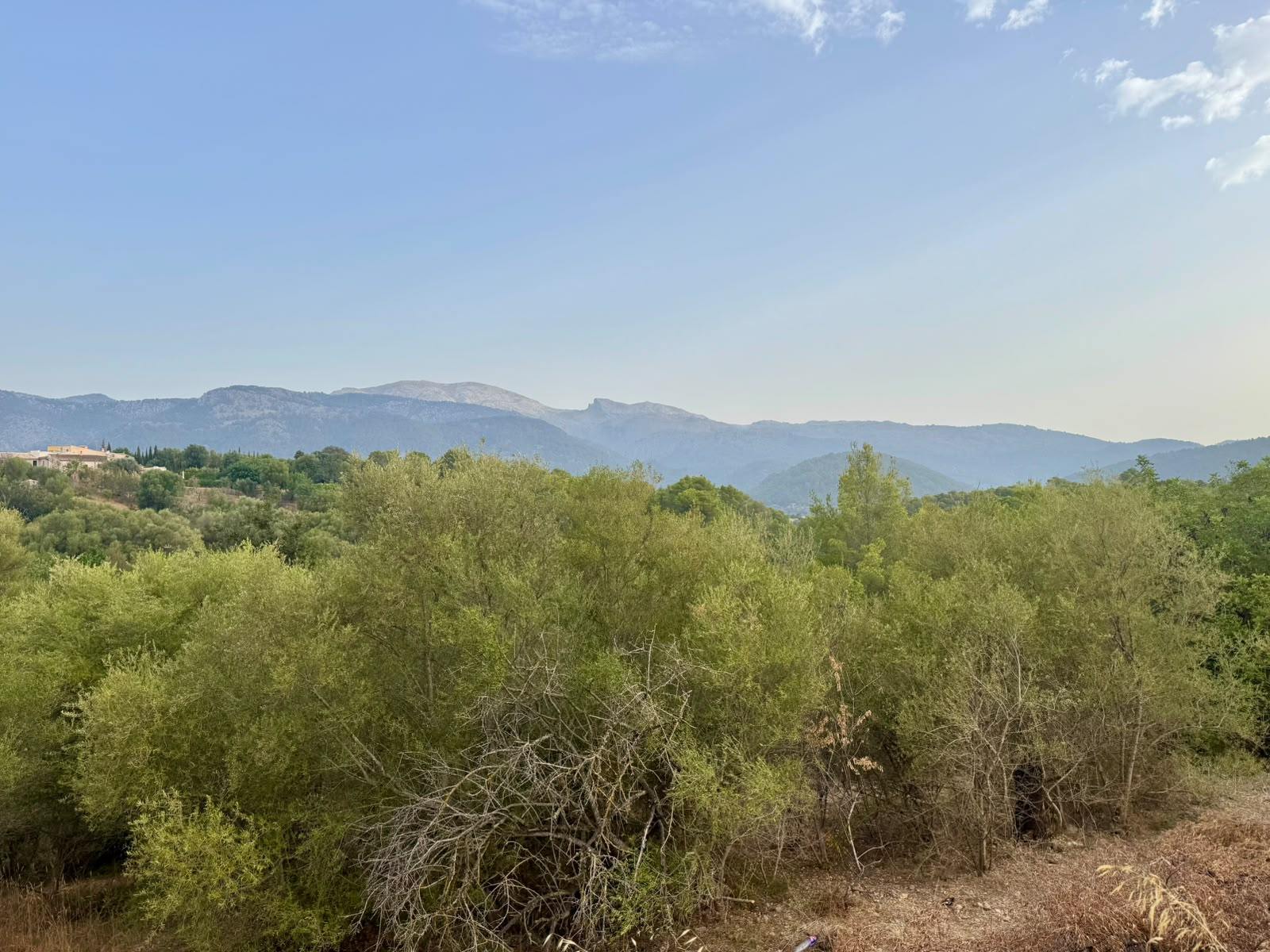 living - Parcela de 347m² con 347m² de jardín en venta en Campanet - gallery thumbnail - 7