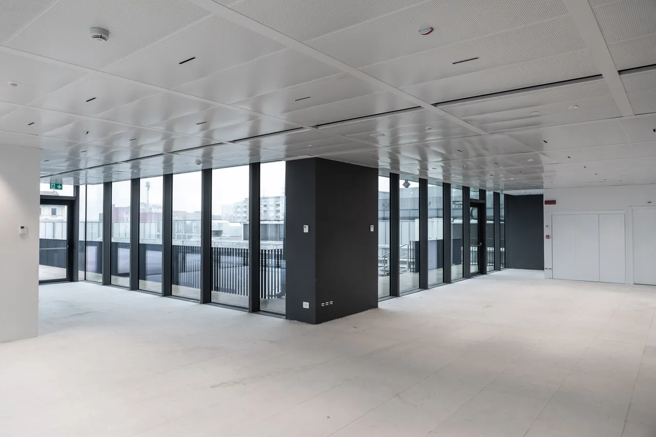 office - VIBE - Office - Dils - gallery - 36