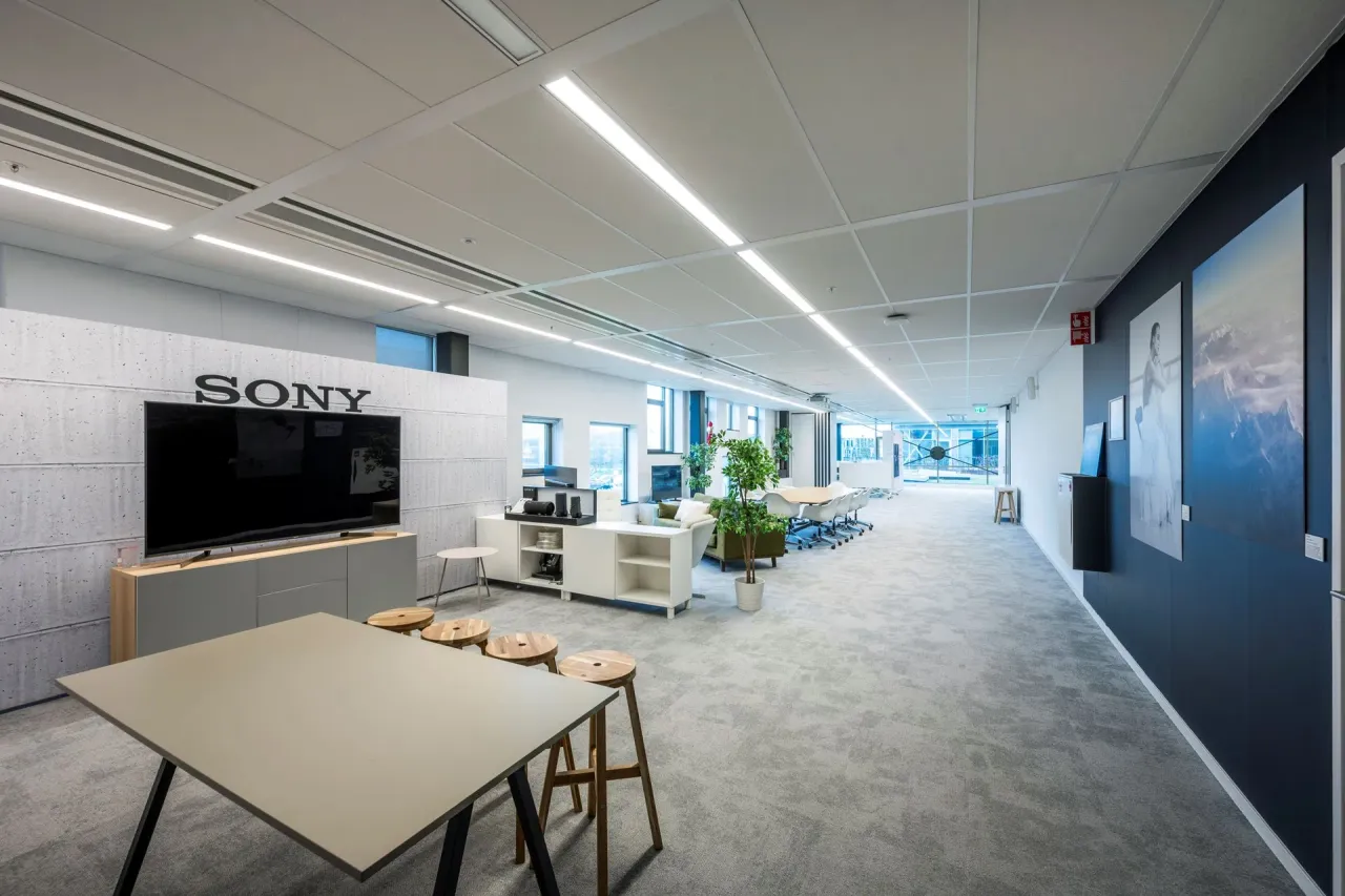office - Now Building - Office - Dils - gallery - 10