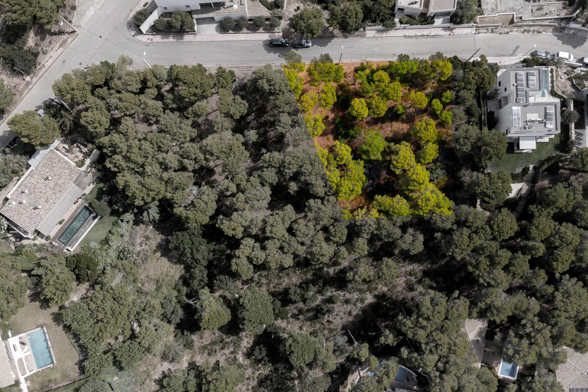 living - Parcela de 1,610m² en venta en Tamariu, Costa Brava - gallery - 5