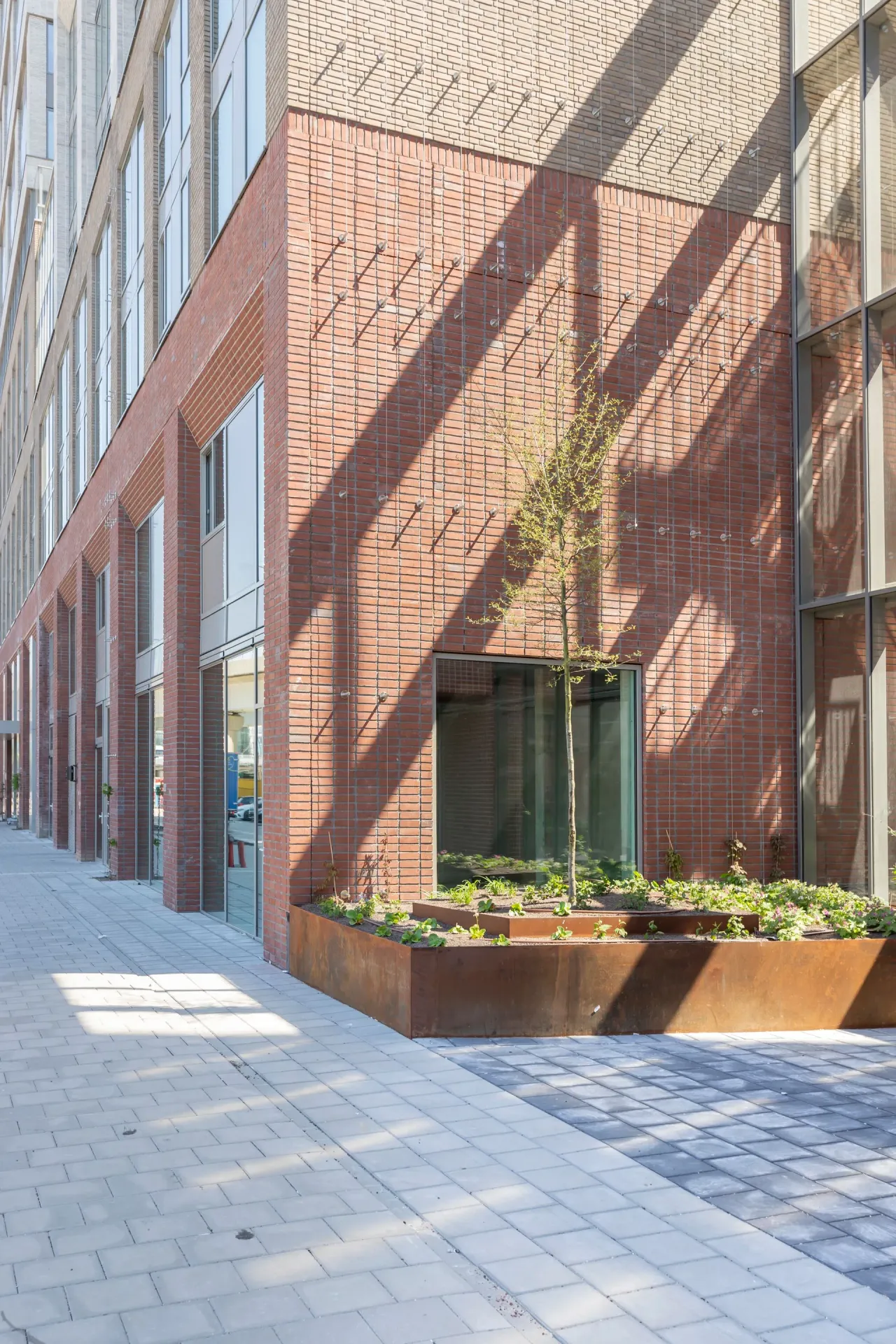 office - Plesostraat 345-347 - Office - Dils - gallery - 7