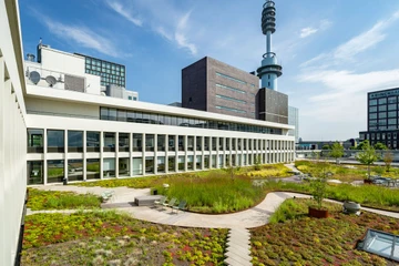 Van Gool Elburg advisor of Breevast in the letting of office spaces in Amsterdam - featured