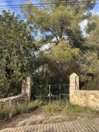 living - 2,134m² plot for sale in Bunyola, Balearic Islands - gallery thumbnail - 10