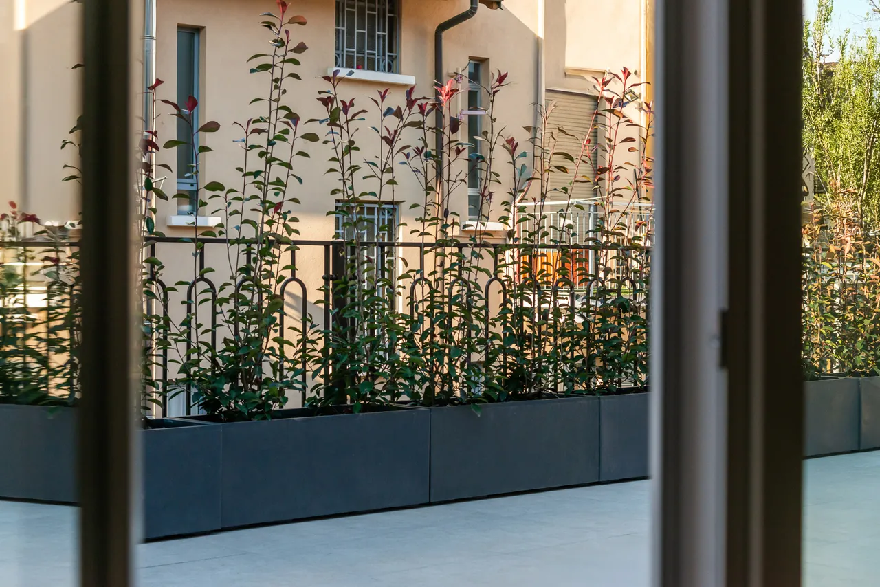 living - Belinzaghi 14 - Living - Dils - gallery - 4