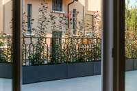 living - Belinzaghi 14 - Living - Dils - gallery thumbnail - 4