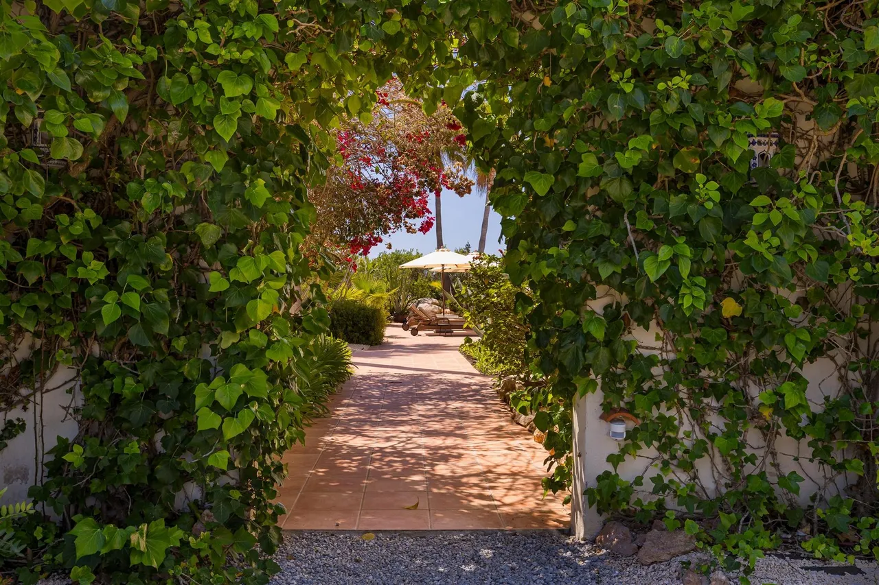 living - 300m² house / villa for sale in Ibiza Town - gallery - 5
