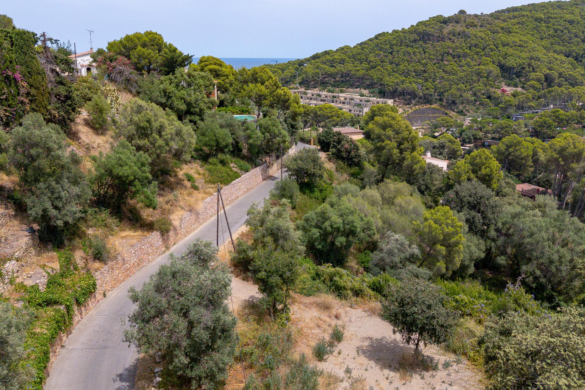 living - Parcela de 1,045m² en venta en Sa Riera, Costa Brava - gallery thumbnail - 5