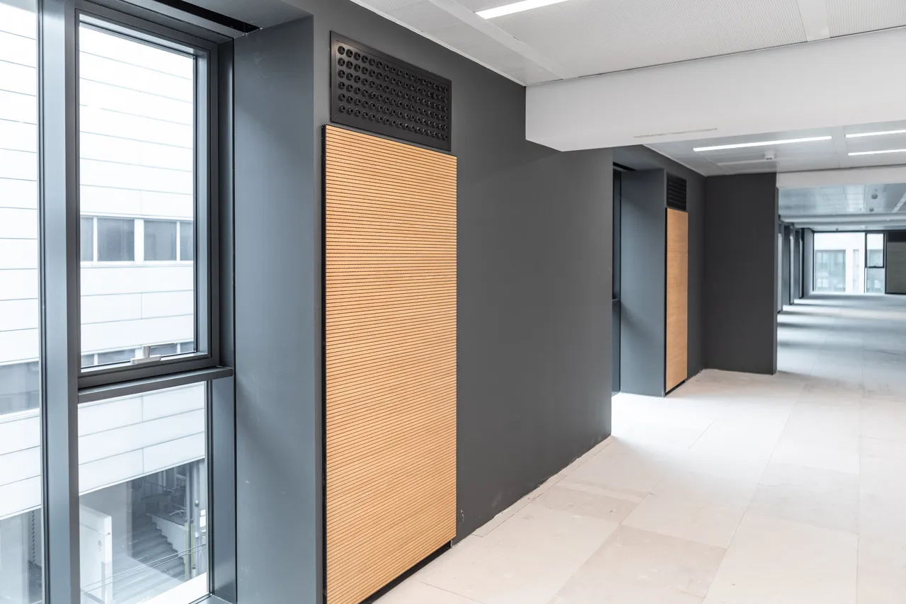 office - VIBE - Office - Dils - gallery - 18