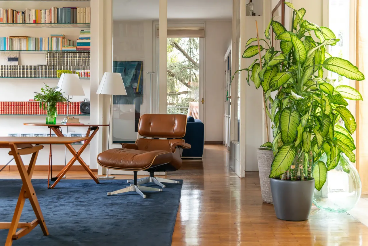 living - Sforza 15 - Living - Dils - gallery - 4