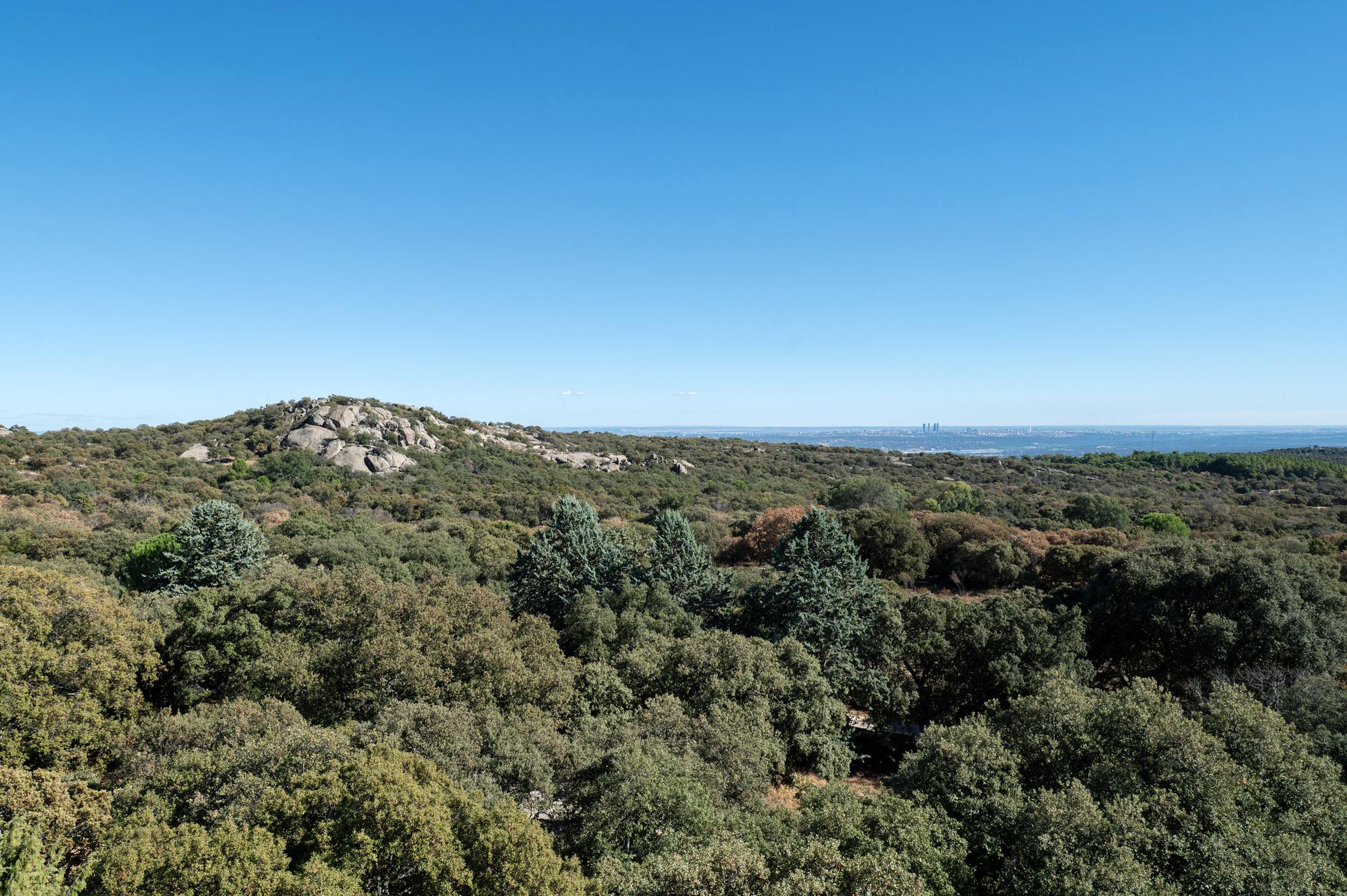 living - Casa / villa de 483m² en venta en Torrelodones, Madrid - gallery thumbnail - 9
