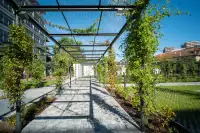 office - Oglio 12 - Office - Dils - gallery thumbnail - 18