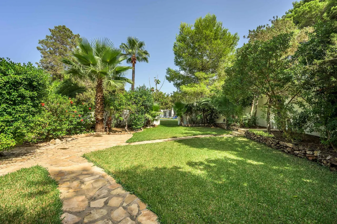 living - 250m² house / villa with 50m² garden for rent in San José - gallery - 6