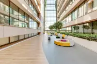 office - Maria de Portugal 3-5 - Uffici - Dils - gallery thumbnail - 10