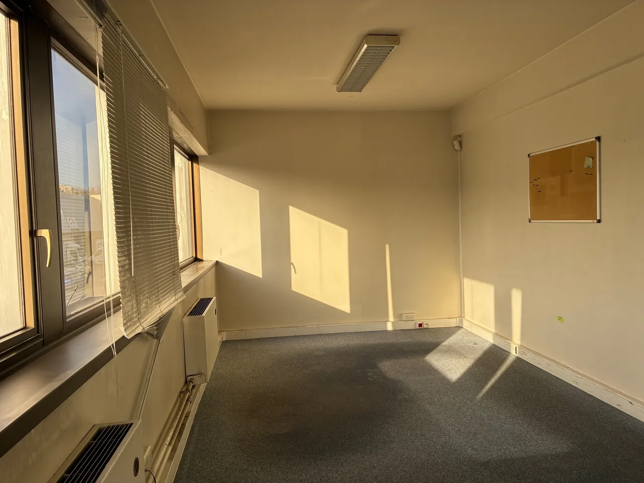 logistics - Warehouse For Rent - gallery - 6