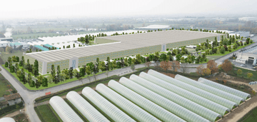 logistics - Bergamo Est - Logistica - Dils - featured