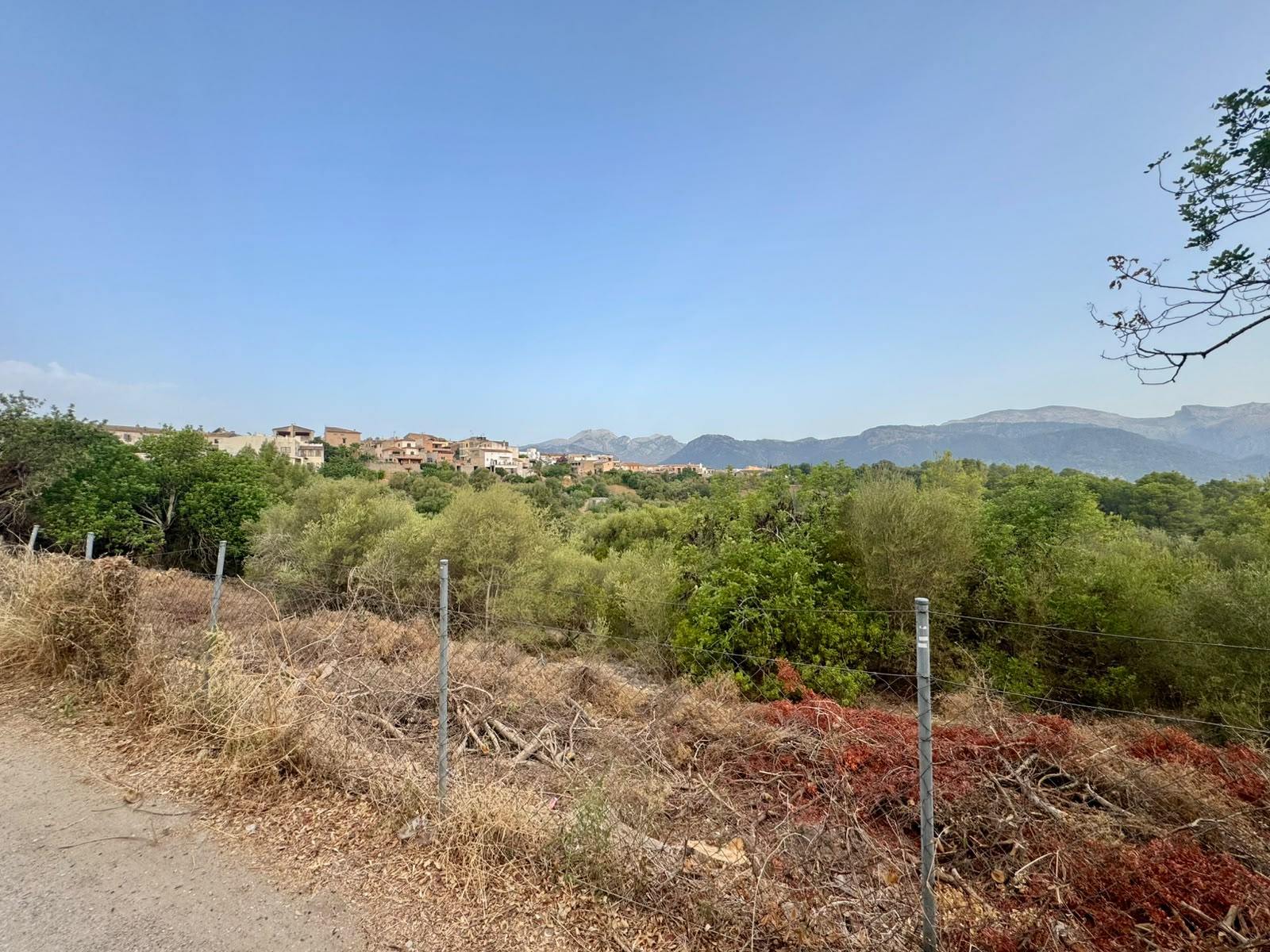 living - Parcela de 997m² con 997m² de jardín en venta en Campanet - gallery thumbnail - 9