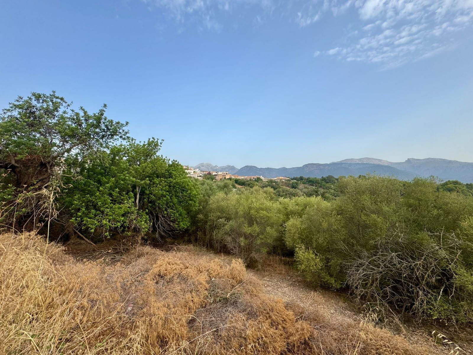 living - 347m² plot with 347m² garden for sale in Campanet - gallery thumbnail - 4