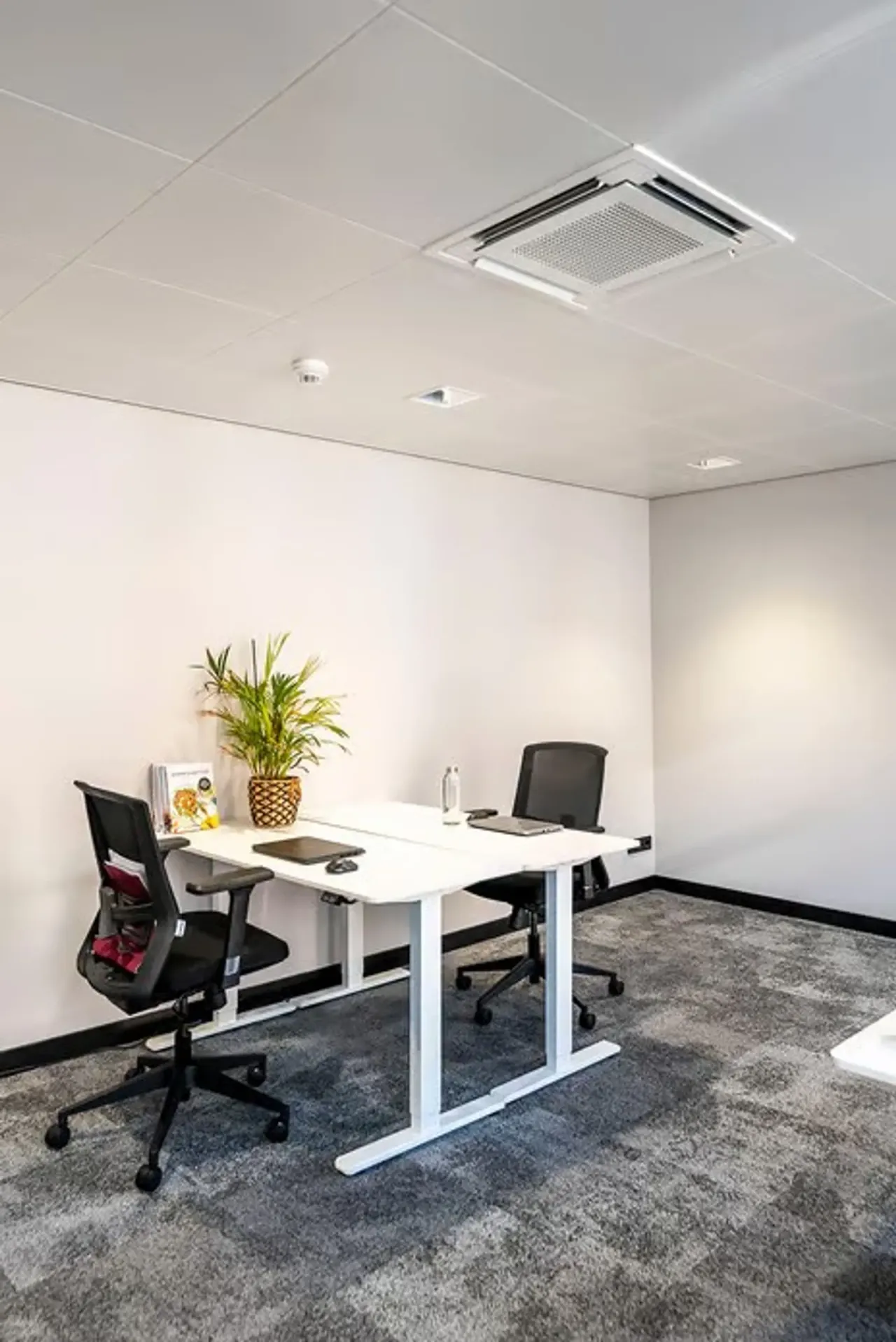 office - Unitz - Unitz 1e Jan Steenstraat 84 - Office - Dils - gallery - 13