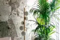 living - Zumbini 39 - Levend - Dils - gallery thumbnail - 17